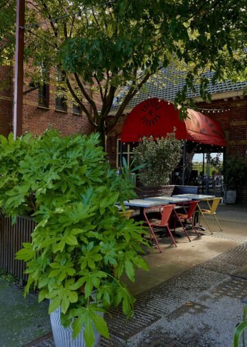 {{brizy_dc_image_alt imageSrc=