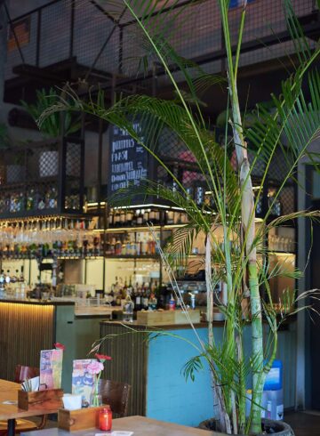 {{brizy_dc_image_alt imageSrc=