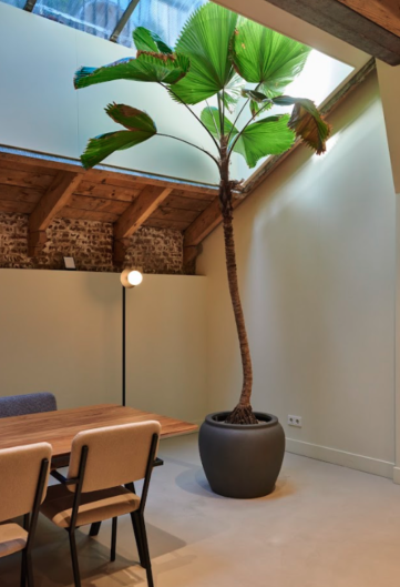 {{brizy_dc_image_alt imageSrc=