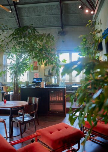 {{brizy_dc_image_alt imageSrc=