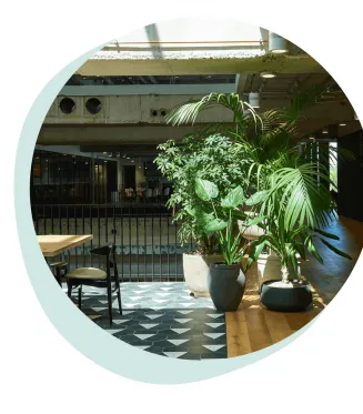 {{brizy_dc_image_alt imageSrc=