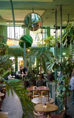 {{brizy_dc_image_alt imageSrc=