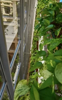 {{brizy_dc_image_alt imageSrc=