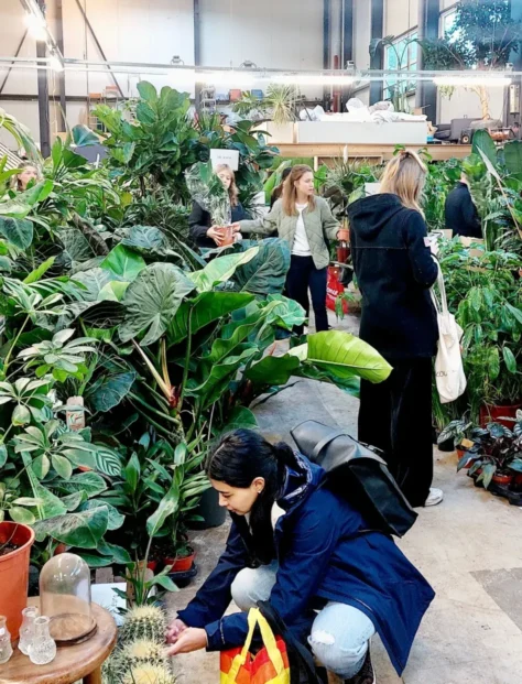 {{brizy_dc_image_alt imageSrc=